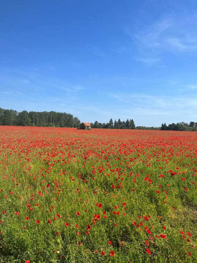Bed and Breakfast Oh ! Fleurs Des Champs Шомон-сюр-Таронн Екстер'єр фото